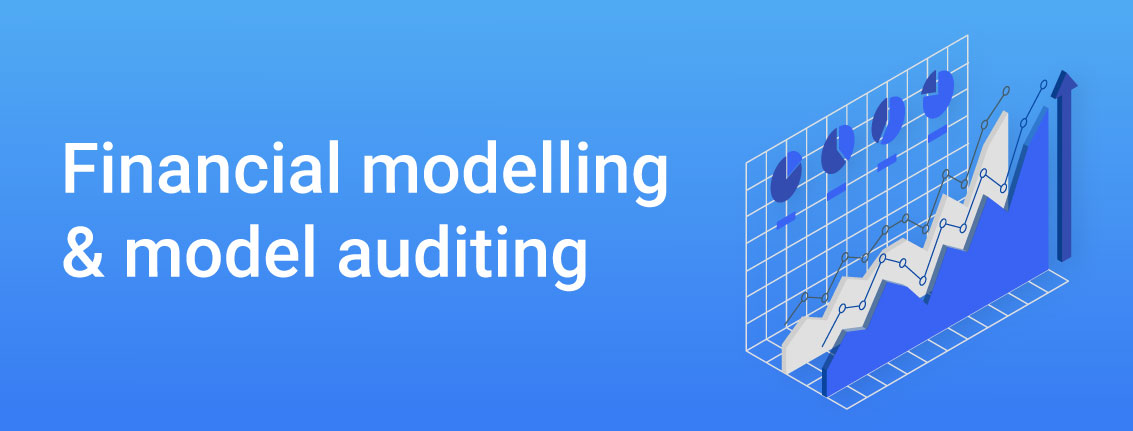 financial-modelling-model-auditing