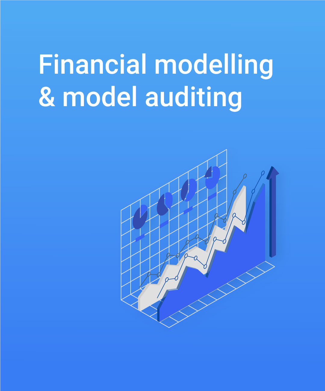 financial-modelling-model-auditing